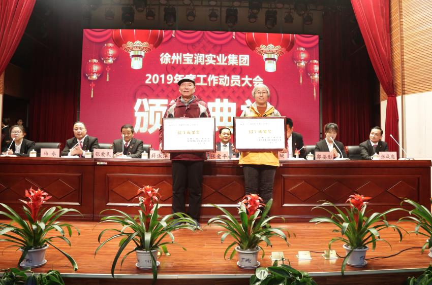 安博游戏官网2019年度工作动员大会---集团公司领导为先进单位和先进个人代表颁奖