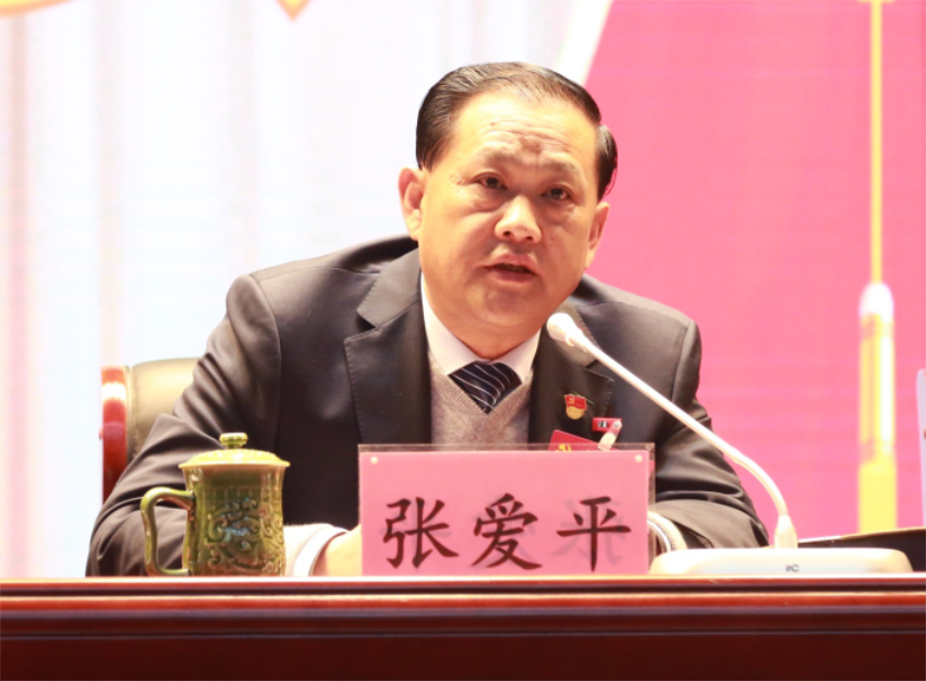 张爱平同志宣读中共安博游戏官网第一届党委成员分工及纪委成员分工